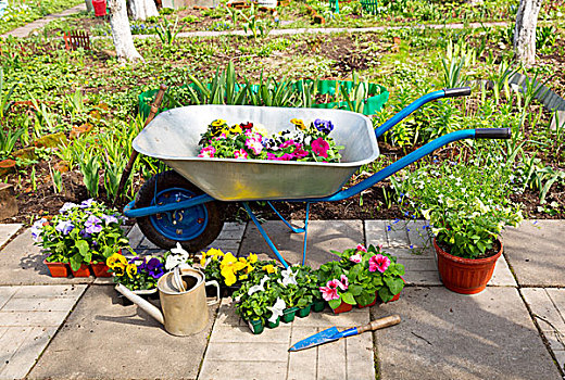 手推车,盆花,工具,花园