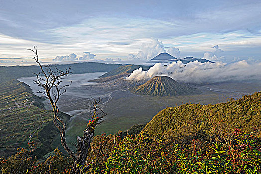 印度尼西亚,爪哇,婆罗摩火山,日出