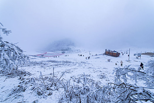 重庆金佛山雪白的童话世界