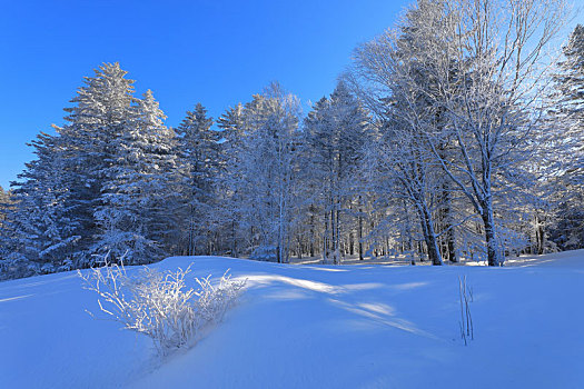 老里克湖冰雪风光