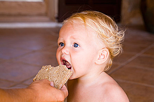 婴儿,吃,块,面包