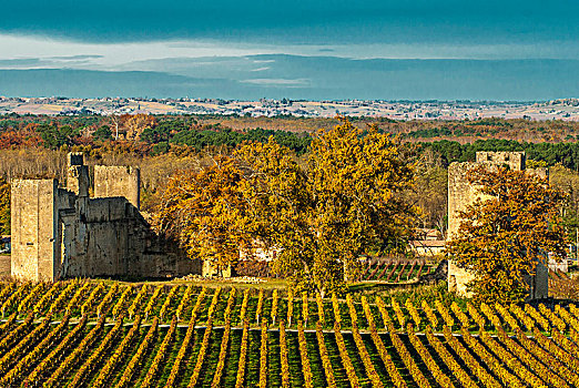 西南,法国,葡萄酒,葡萄园,遗址,中世纪,城堡
