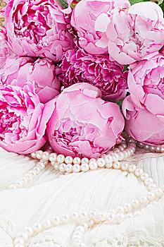 粉色,牡丹,清新,珍珠,白色背景,蕾丝,背景