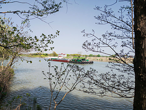 春天的无锡梁鸿湿地