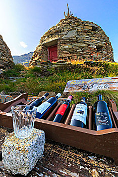 葡萄酒,展示,玻璃,传统,地窖,背景,石砌,博斯齐亚格,格劳宾登,瑞士