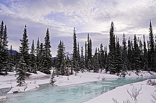 阿萨巴斯卡河,冬天,碧玉国家公园,艾伯塔省,加拿大