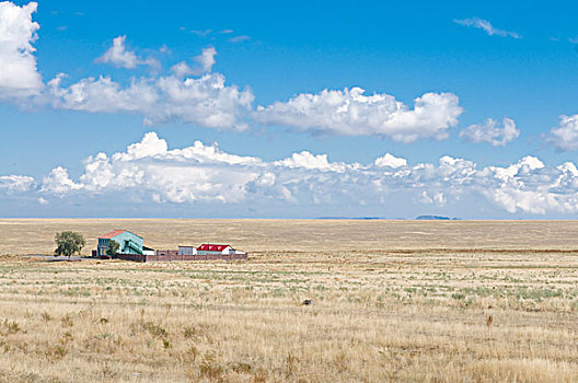 哈萨克斯坦,农场,草原