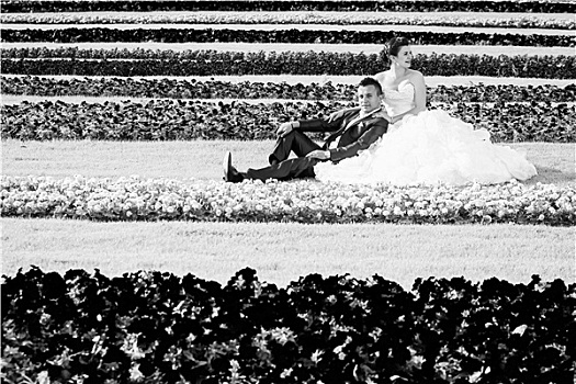 新郎,新娘,坐,草坪,花,黑白