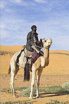 柏柏尔人,男人,骑,骆驼,阿卡库斯,利比亚