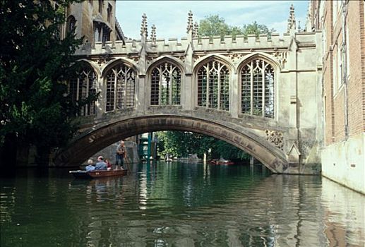 图像,剑桥,翠绿