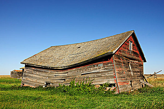 老,荒废,房子,草原,萨斯喀彻温,加拿大