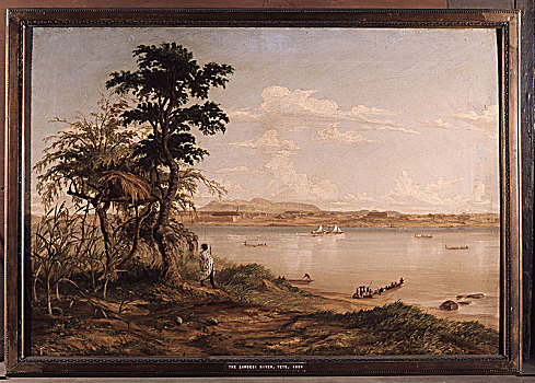 赞比西河,1875年,英国,艺术家,探索,殖民地,南非,澳大利亚,1858年,一个,第一,白人,看