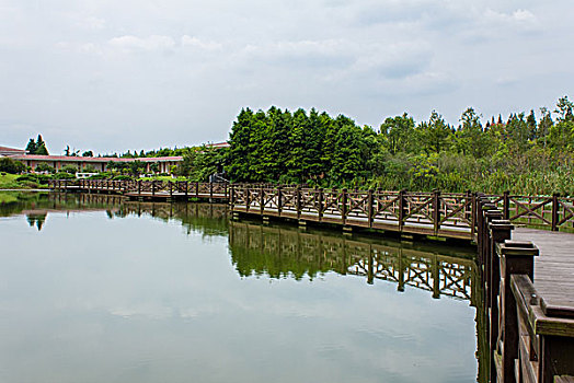 上海奉贤海湾国家森林公园风光