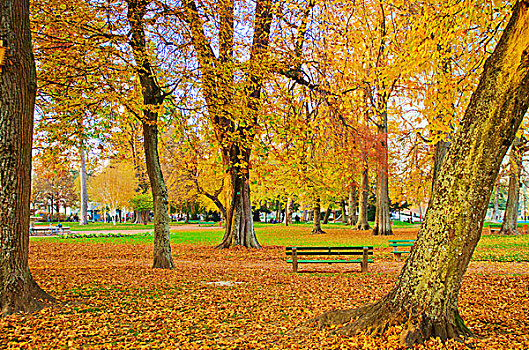 秋天,城市公园