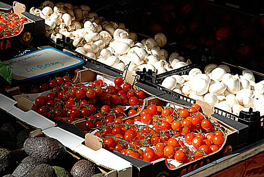 法国,普罗旺斯,西红柿,蘑菇