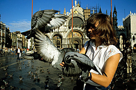 意大利,威尼斯,喂食,鸽子,圣马科