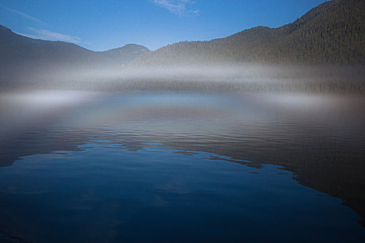 海洋,雾,水,嘴,小湾,不列颠哥伦比亚省,加拿大
