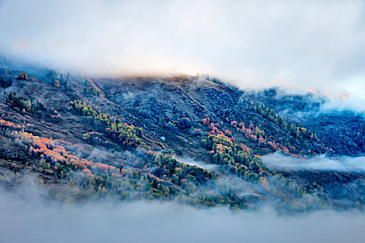 新疆,喀纳斯,山,雾