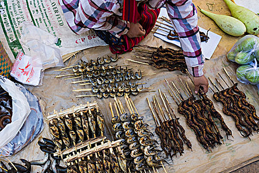 缅甸,掸邦,市场,烤鱼,鳗鱼