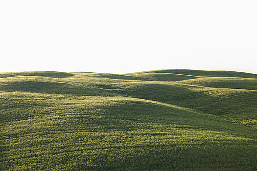绿色,山,草地,瓦尔道尔契亚,托斯卡纳,意大利