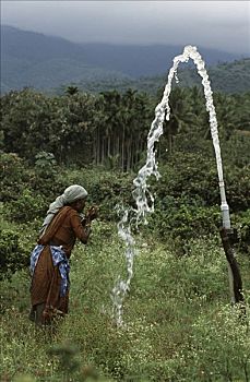 侧面,成年,女人,饮用水,地区,喀拉拉,印度