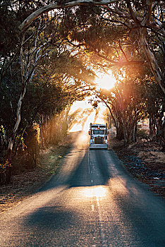 卡车,旅行,途中,山谷,南澳大利亚州,澳大利亚