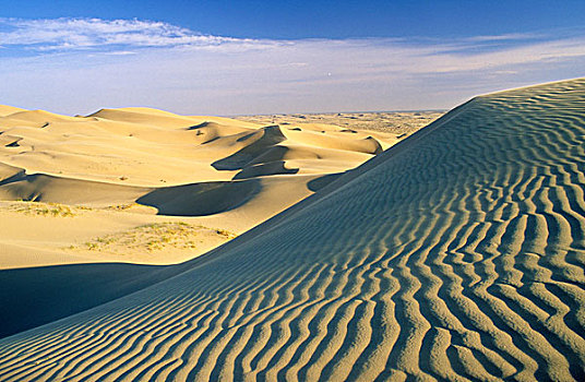 索诺拉沙漠,加利福尼亚,美国