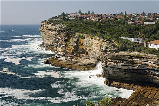 澳大利亚,新南威尔士,悉尼,风化,砂岩,悬崖,海洋,暸望,靠近,入口,悉尼港