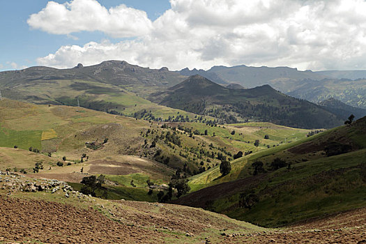 风景,大捆,山,埃塞俄比亚