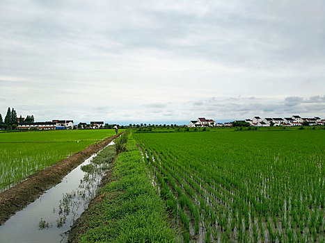 田园风光,乡村人家