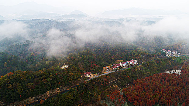 云雾飘渺,层林尽染