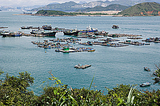 养鱼场,香港