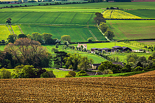 俯视,农田,乡村,碎屑,格洛斯特郡,科茨沃尔德,英格兰,英国