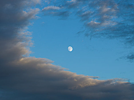 仰视,月亮,云,天空,湖,木头,安大略省,加拿大