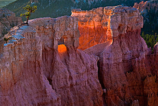 美国,犹他,布莱斯峡谷国家公园,第一,开灯,怪岩柱,日出