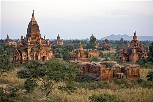 缅甸,蒲甘,古老,中心,朴素,庙宇,朝代,建造,岁月