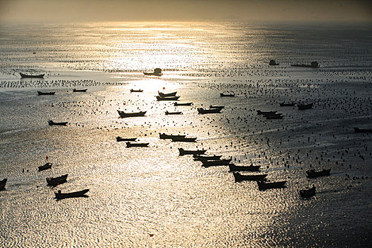 海湾,船,阳光,海岸,停泊,航行,港湾