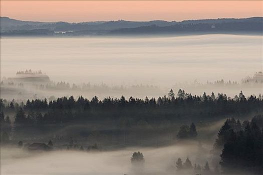 风景,遮盖,雾,巴伐利亚,上巴伐利亚,德国,欧洲