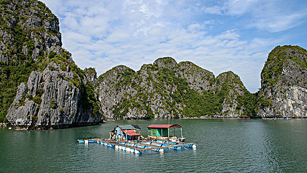 越南,岛屿,下龙湾,漂浮,房子,大幅,尺寸
