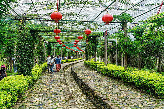 福建漳州南靖土楼风光