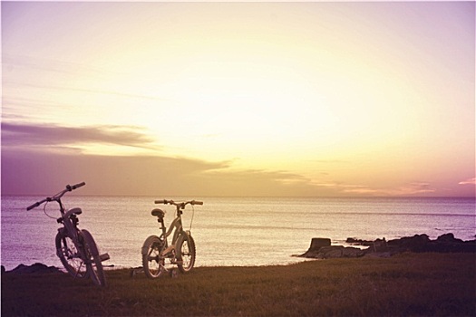 家庭,有趣,自行车,享受,夏天,概念