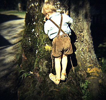 小,男孩,皮革,裤子,隐藏,后面,树,巴伐利亚,德国