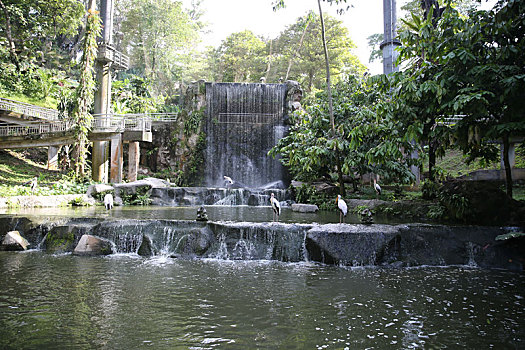 马来西亚吉隆坡雀鸟公园