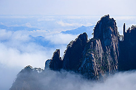 黄山上升峰云海