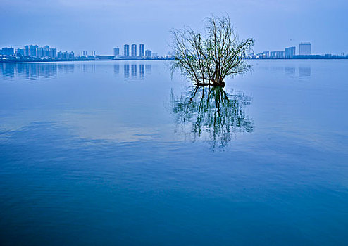 钟祥市,莫愁湖