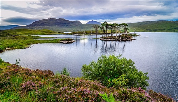 风景,树,湖,苏格兰高地