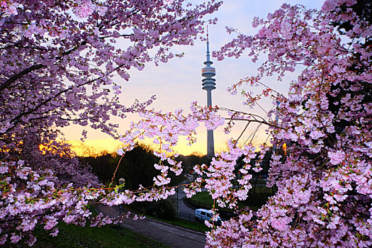 munich慕尼黑olympia,park