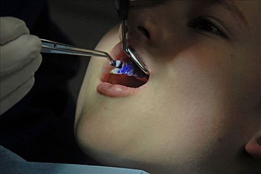 男孩,牙医,口腔卫生,紫色,牌匾