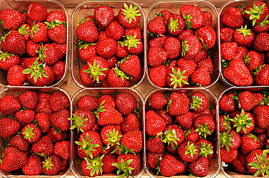草莓,塑料制品,托盘