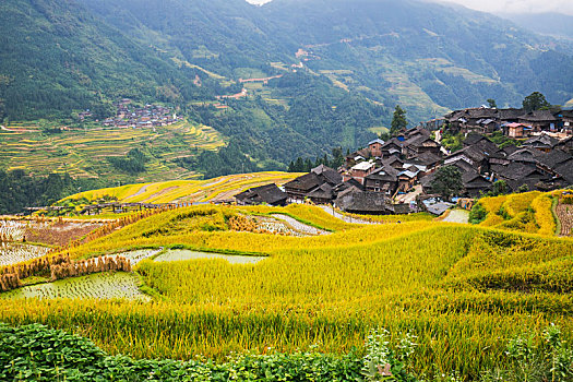 加榜梯田